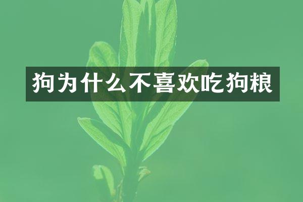狗为什么不喜欢吃狗粮