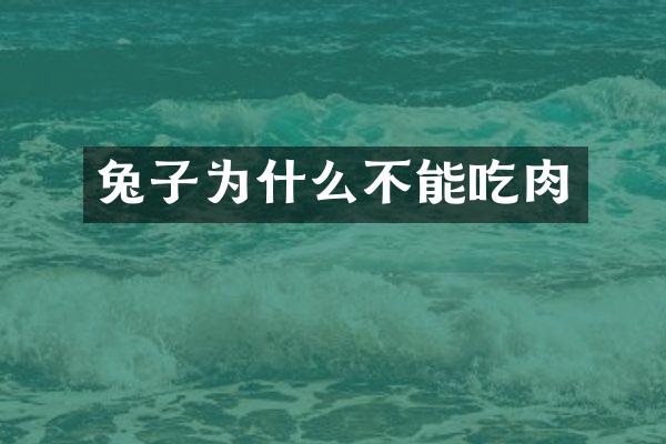 兔子为什么不能吃肉