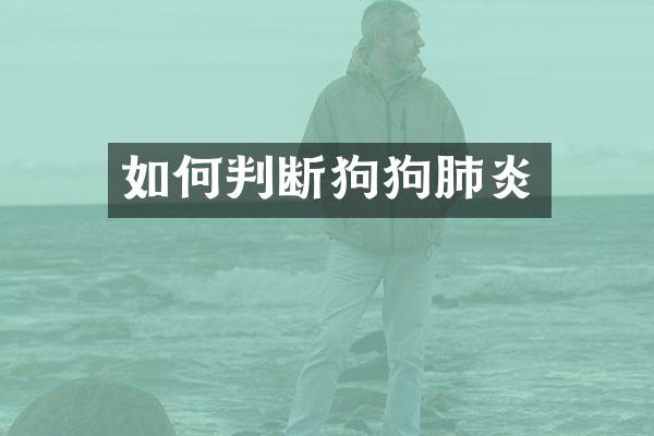 如何判断狗狗肺炎