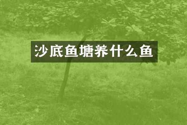 沙底鱼塘养什么鱼