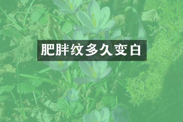 肥胖纹多久变白