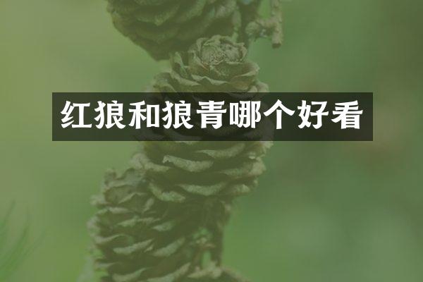红狼和狼青哪个好看