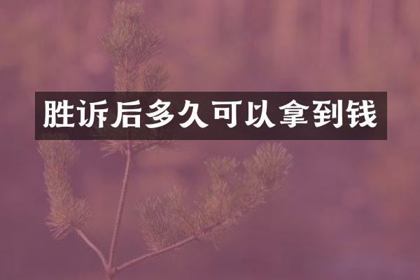 胜诉后多久可以拿到钱