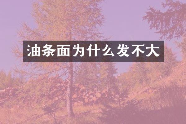 油条面为什么发不大