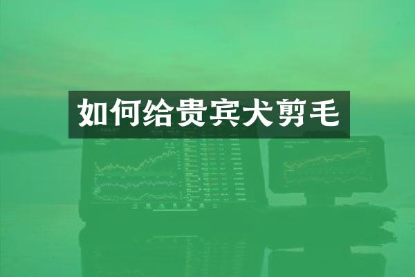 如何给贵宾犬剪毛