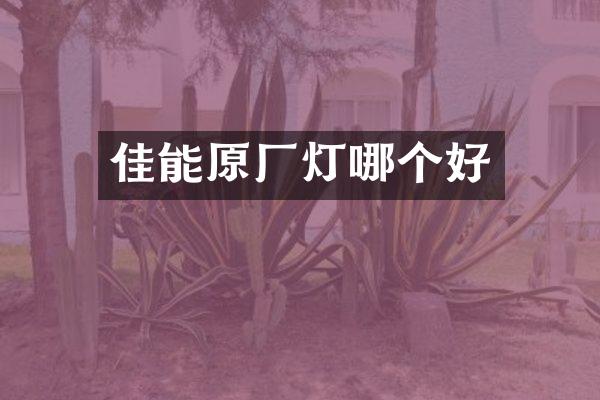 佳能原厂灯哪个好