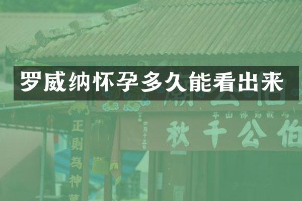 罗威纳怀孕多久能看出来