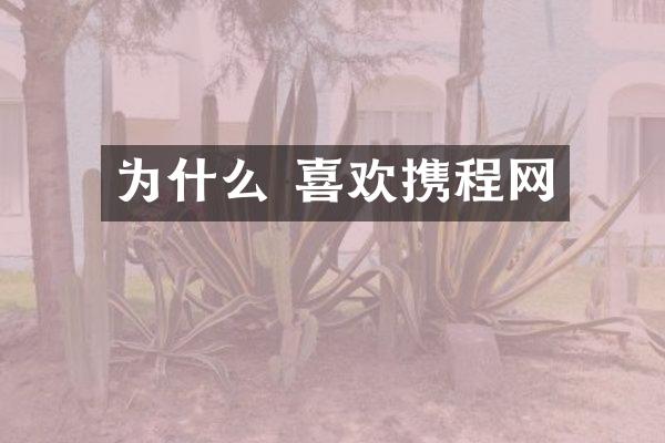 为什么 喜欢携程网