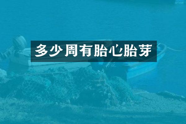 多少周有胎心胎芽