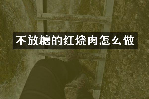 不放糖的红烧肉怎么做