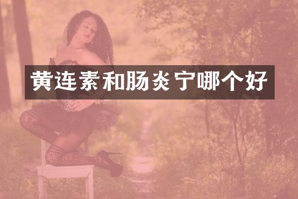 黄连素和肠炎宁哪个好