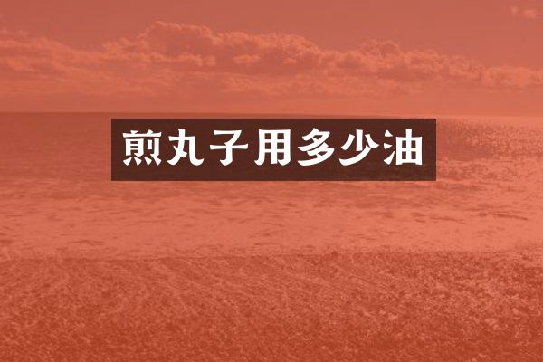 煎丸子用多少油