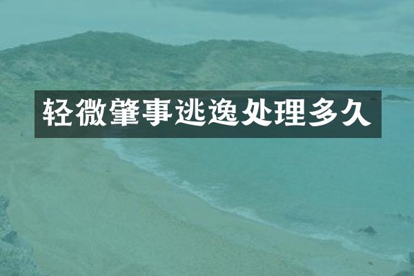 轻微肇事逃逸处理多久