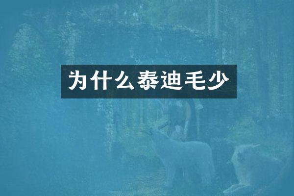 为什么泰迪毛少