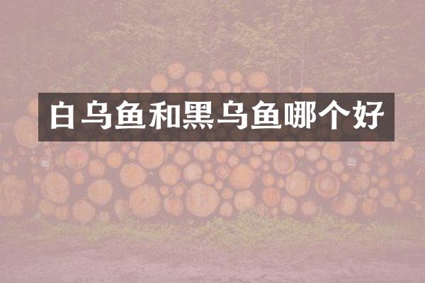 白乌鱼和黑乌鱼哪个好