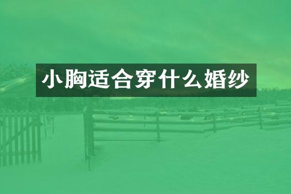 小胸适合穿什么婚纱