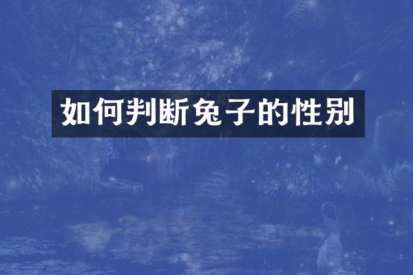 如何判断兔子的性别