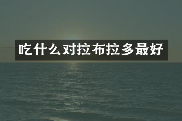 吃什么对拉布拉多最好