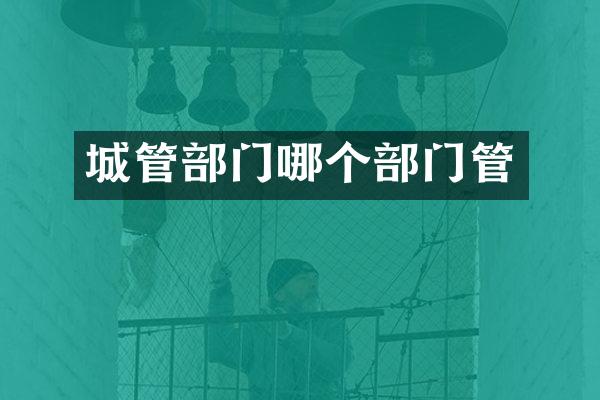 城管部门哪个部门管