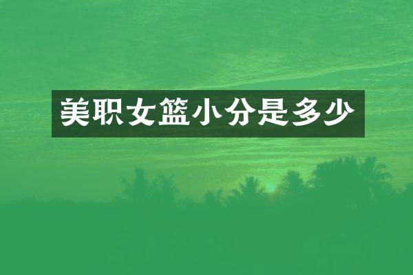 美职女篮小分是多少