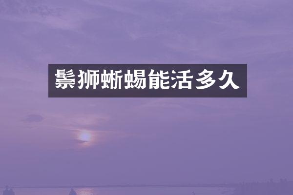 鬃狮蜥蜴能活多久
