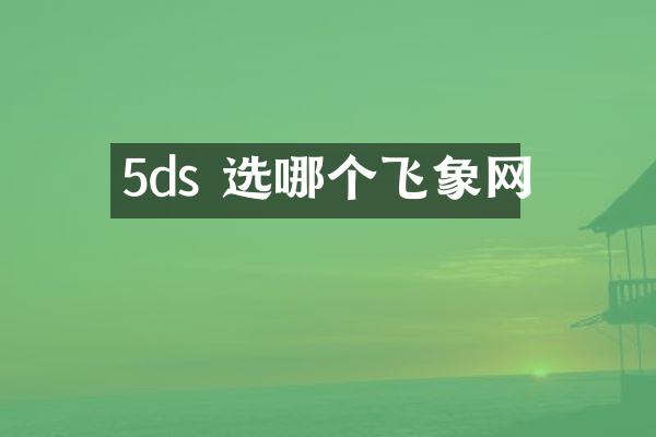 5ds 选哪个飞象网