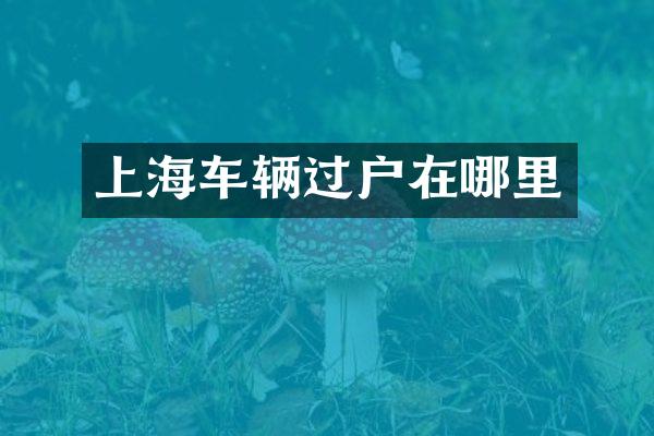 上海车辆过户在哪里