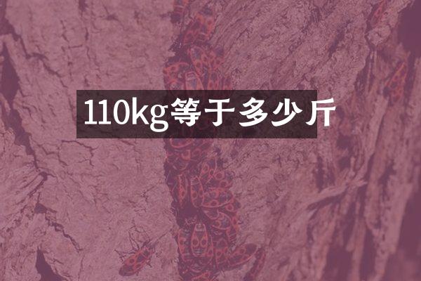 110kg等于多少斤