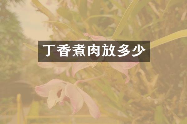 丁香煮肉放多少