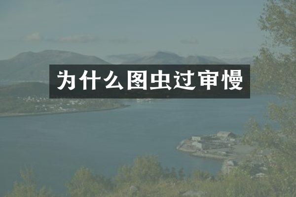 为什么图虫过审慢