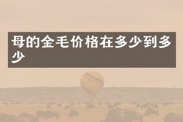 母的金毛价格在多少到多少
