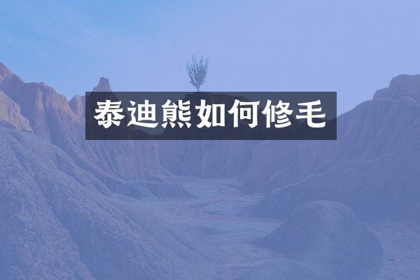 泰迪熊如何修毛