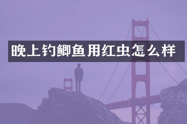 晚上钓鲫鱼用红虫怎么样