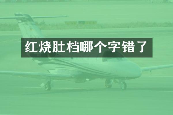 红烧肚档哪个字错了