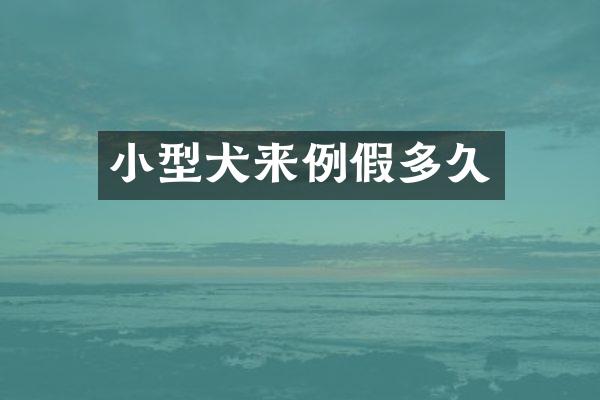 小型犬来例假多久