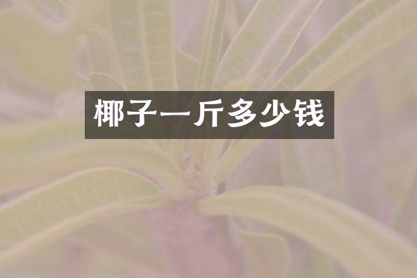 椰子一斤多少钱