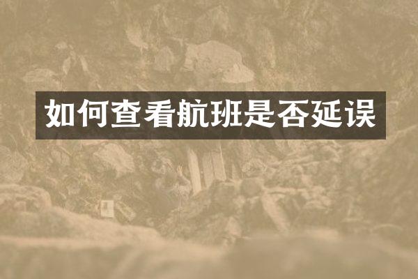 如何查看航班是否延误