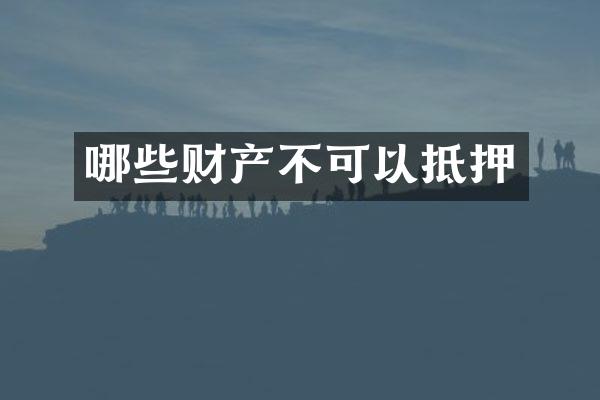 哪些财产不可以抵押