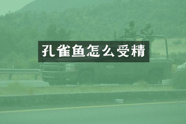 孔雀鱼怎么受精