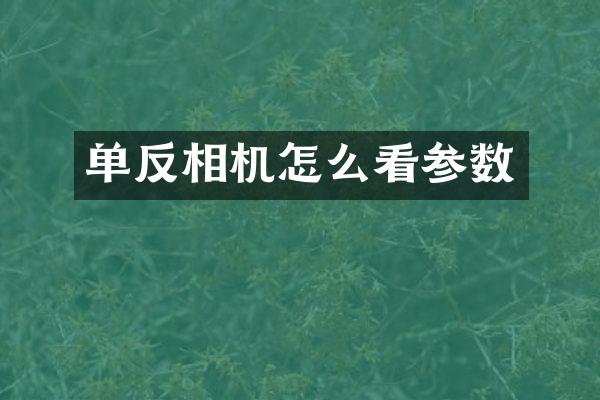 单反相机怎么看参数