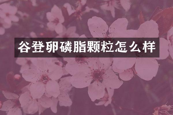 谷登卵磷脂颗粒怎么样