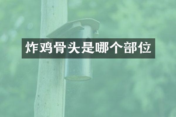 炸鸡骨头是哪个部位