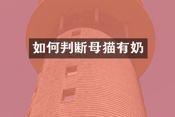 如何判断母猫有奶