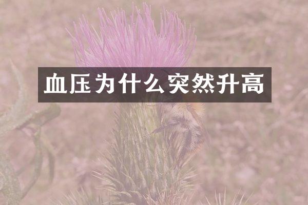血压为什么突然升高