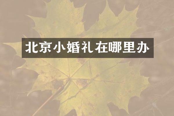北京小婚礼在哪里办