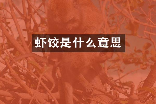 虾饺是什么意思