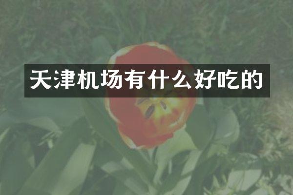 天津机场有什么好吃的
