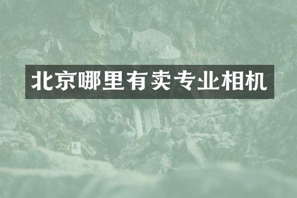 北京哪里有卖专业相机