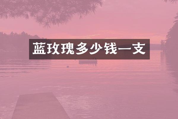 蓝玫瑰多少钱一支