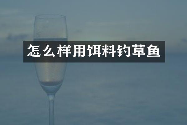 怎么样用饵料钓草鱼